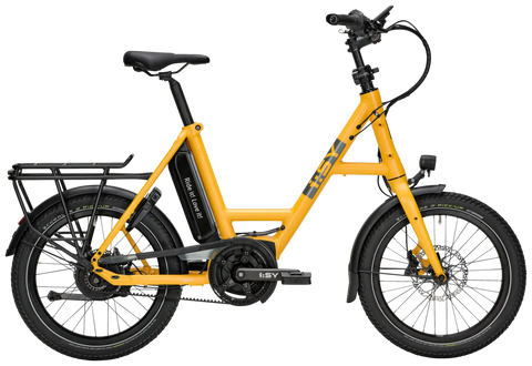 N3.8 ZR sunny yellow