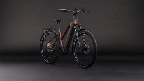 Kathmandu Hybrid Pro 800 sunglow´n´chrome Trapez