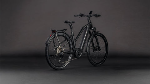 Kathmandu Hybrid SLX 800 silverdust´n´chrome Trapez