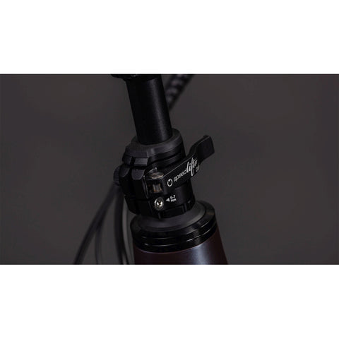 Longtail Hybrid Comfort Family 800