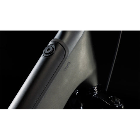 Trike Cargo Hybrid 750