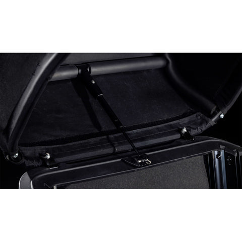 Trike Cargo Hybrid 750