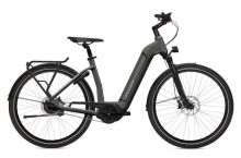 Flyer Gotour6 3.401R E-Bikes